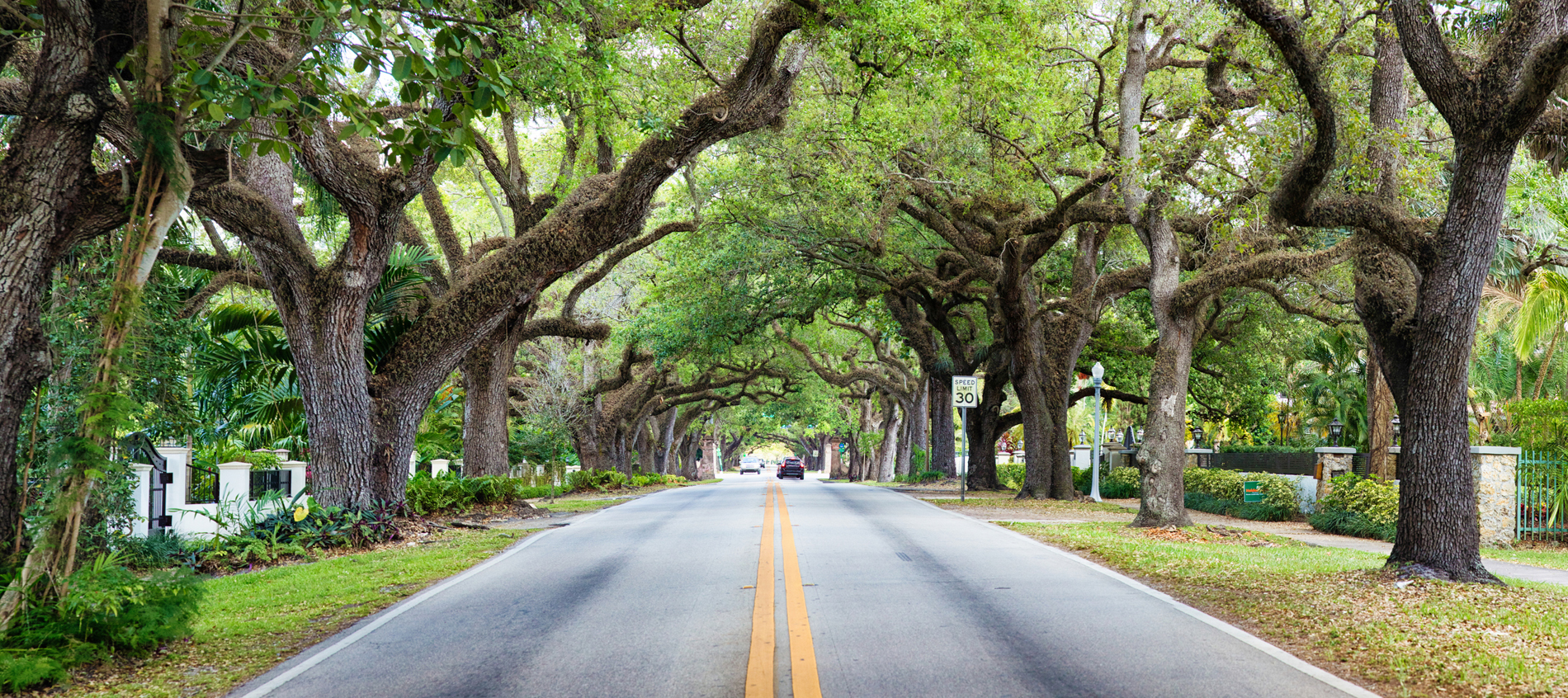 The City of Coral Gables